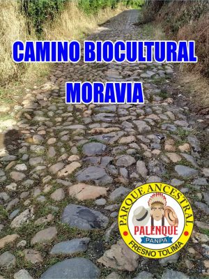 CAMINO_MORAVIA