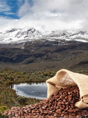 nevado y cafe 2